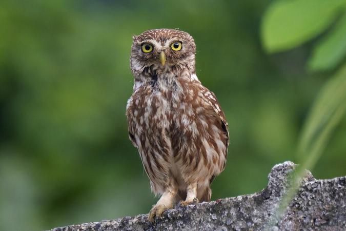 Kocaeli’nin en iyi kareleri belli oldu